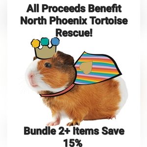 New! YOU ARE LOVED Pride Guinea Pig Small Pet Rainbow Cape and Crown.